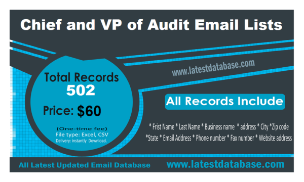 Chief and VP of Audit Specific Special Email Datas