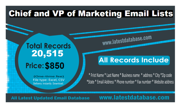 Chief and VP of Marketing Specific Special Email Datas