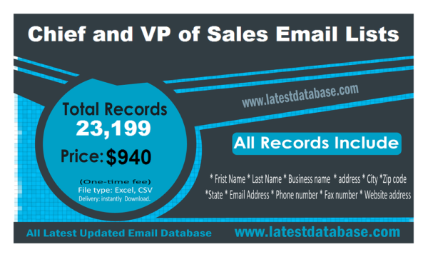 Chief and VP of Sales Specific Special Email Datas